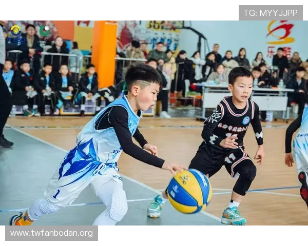 广西环球体育篮球训练营适合不同年龄段青少年的专业篮球培训方案
